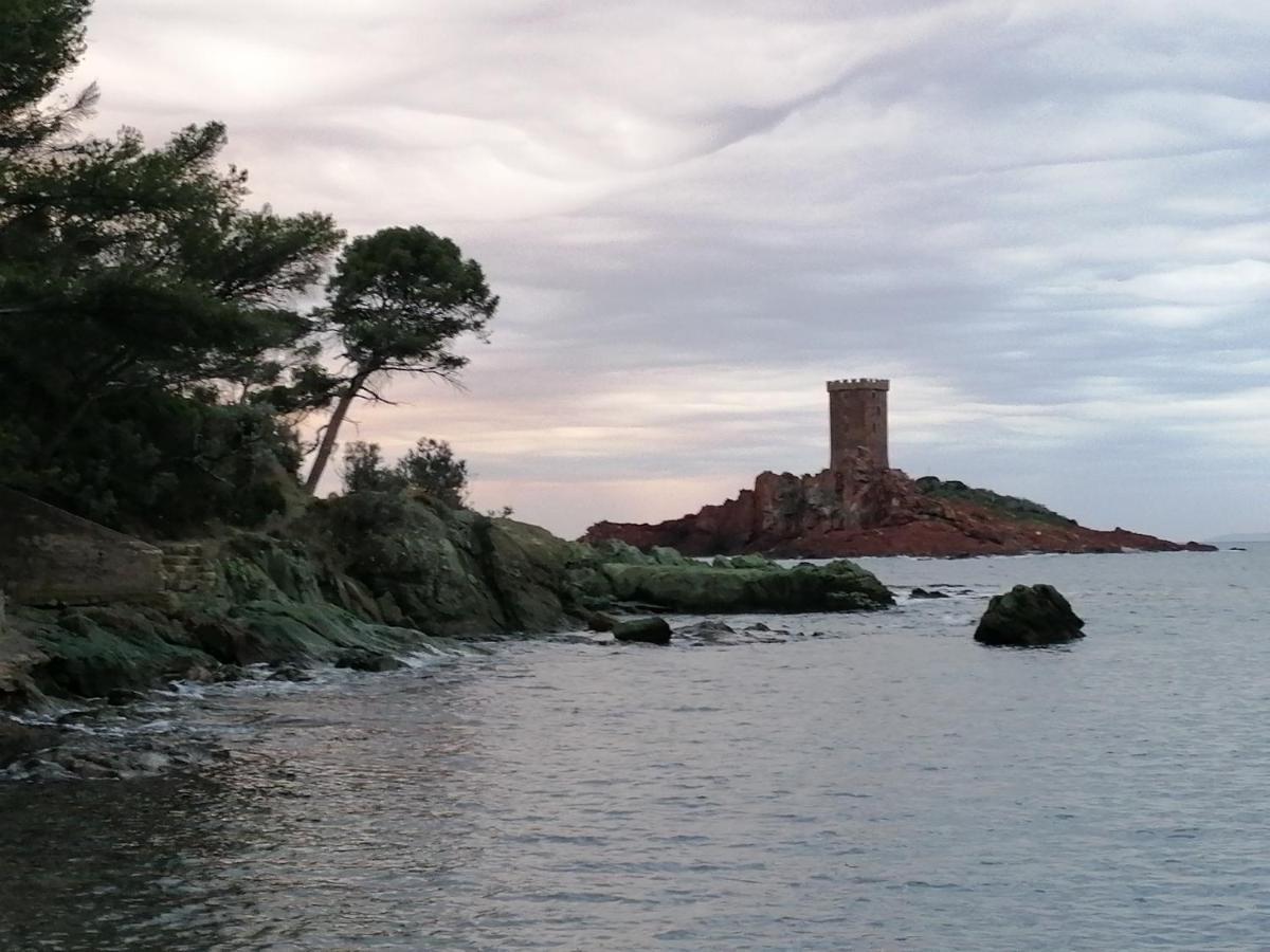 Voilier de charme à quai Saint-Raphael (Var) Exterior foto